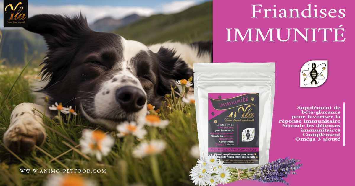 friandises-naturelles-pour-chiens-soutien-immunitaire-sans-cereales